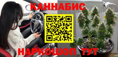 ешки Новозыбков