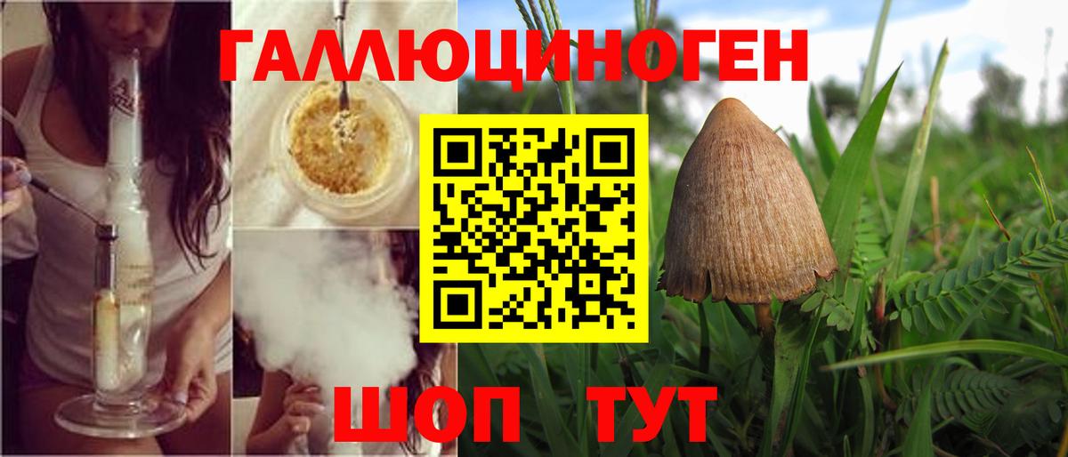 Псилоцибиновые грибы Magic Shrooms  Вход с VPN  Рязань  Псилоцибиновые грибы Psilocybine cubensis 