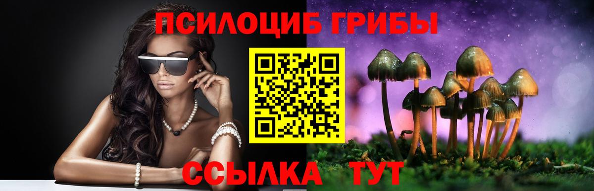 Галлюциногенные грибы MAGIC MUSHROOMS Рязань